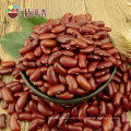 Frijoles rojos oscuros 200-220pcs / 100g precio más barato